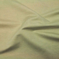 S2481大货 (COTTON LINEN 40/2 SLUB POPLIN，223.00g/m<sup>2</sup>)
